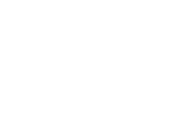 flamingos puerto vallarta