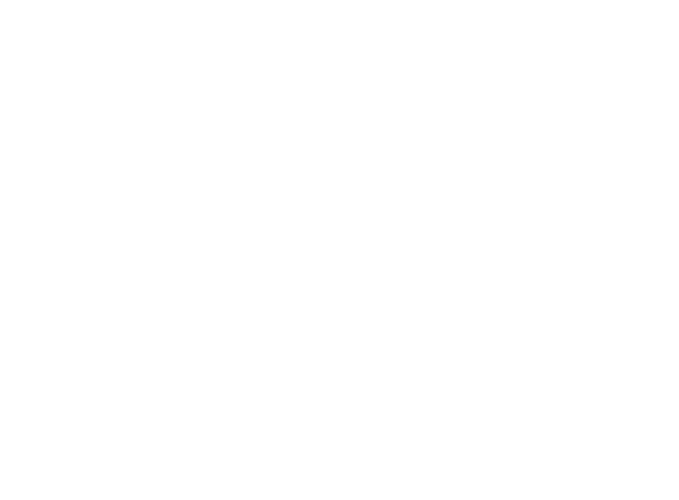 los tigres puerto vallarta